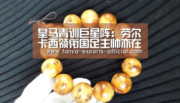 皇马青训巨星阵:劳尔卡西领衔国足主帅亦在列-泛亚电竞APP下载(图4) 泛亚电竞游戏平台