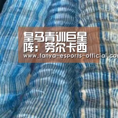 皇马青训巨星阵:劳尔卡西领衔国足主帅亦在列-泛亚电竞APP下载(图1) 泛亚电竞APP下载