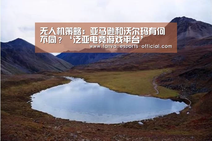 无人机策略:亚马逊和沃尔玛有何不同?‘泛亚电竞游戏平台’(图1) 泛亚电竞APP下载