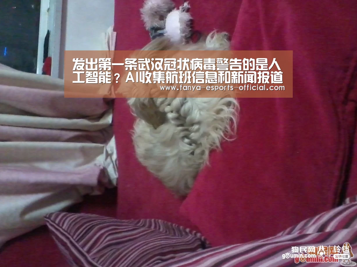 泛亚电竞APP下载