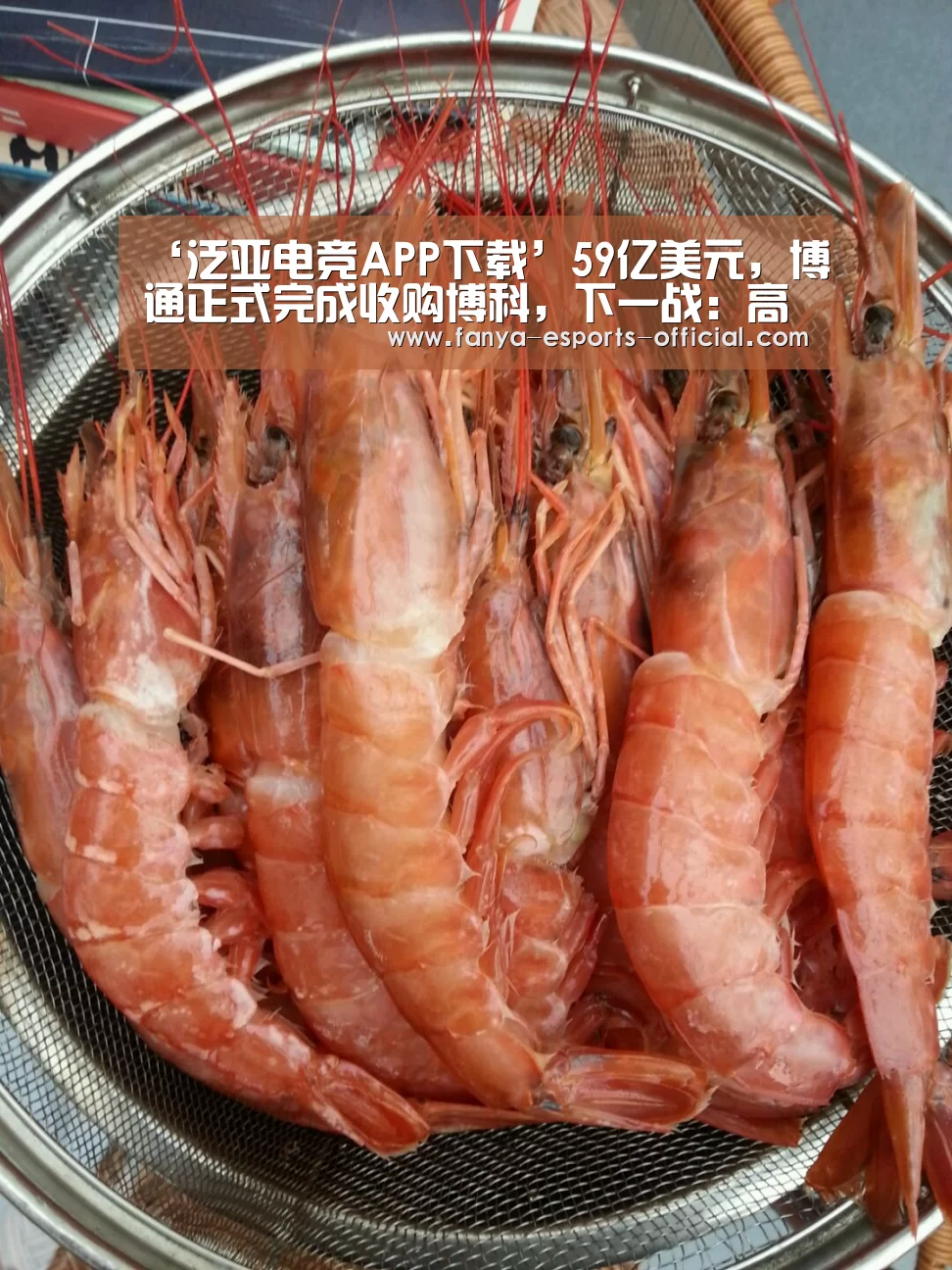 ‘泛亚电竞APP下载’59亿美元,博通正式完成收购博科,下一战:高通(图4) 泛亚电竞游戏平台