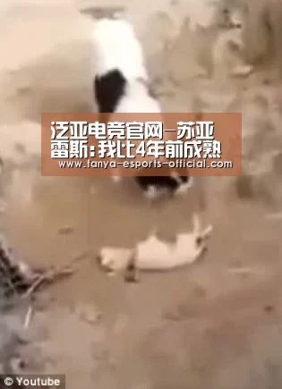 泛亚电竞官网-苏亚雷斯:我比4年前成熟 世界杯热门是巴德西阿法(图1) 泛亚电竞APP下载