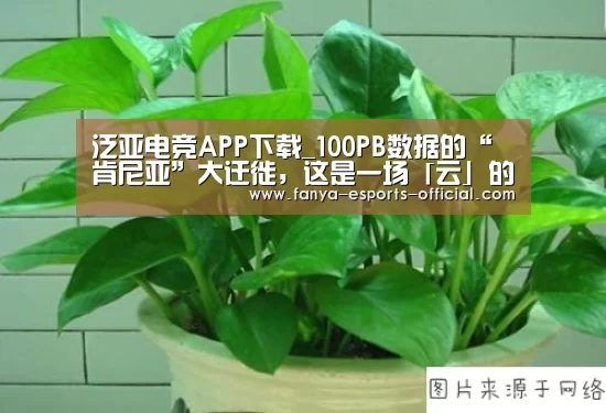 泛亚电竞APP下载_100PB数据的“肯尼亚”大迁徙,这是一场「云」的全面胜利(图3) 泛亚电竞