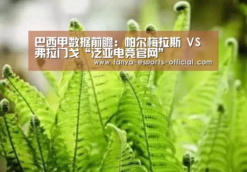 巴西甲数据前瞻:帕尔梅拉斯 VS 弗拉门戈“泛亚电竞官网”(图3) 泛亚电竞游戏平台